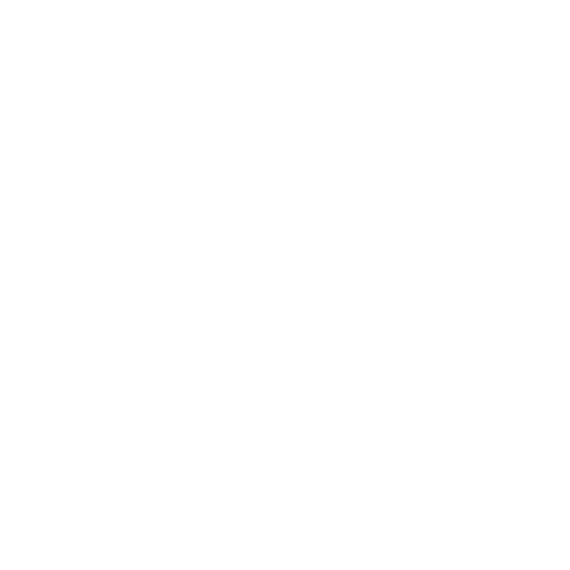 Visa payment method accepted